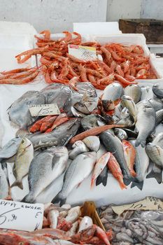 Fresh fish on display ready for sale in the market of the city.