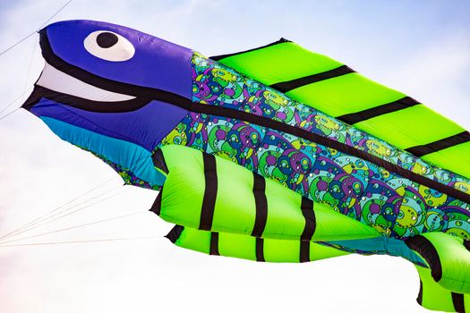 Flying kite with Fish-shaped colored green and purple