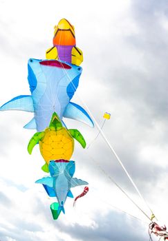 Flying kite with the shape of sea animals, manta, turtle and fish.