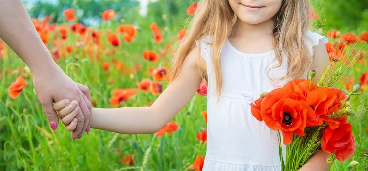 children girl in a field with poppies. selective focus.