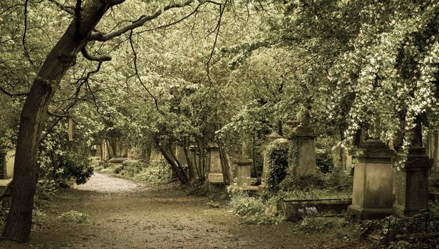 Old English Cemetery in the Gothic period with ancient stone tombstones and much vegetation.