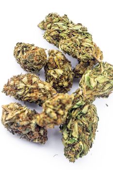 Detail of legal marijuana flowers photographed on clean  background