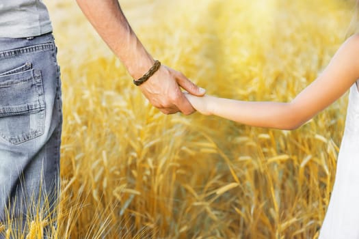 Child and father in a wheat field. Selective focus. nature.