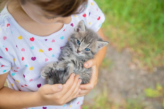 Little kittens in the hands of children. Selective focus. Animals.