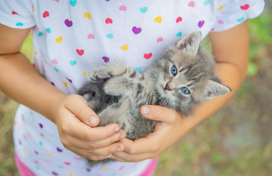 Little kittens in the hands of children. Selective focus. Animals.