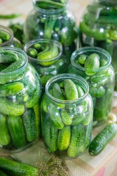 preservation of fresh house cucumbers. Selective focus. nature