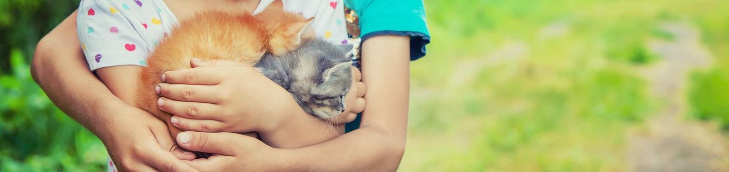 Little kittens in the hands of children. Selective focus.