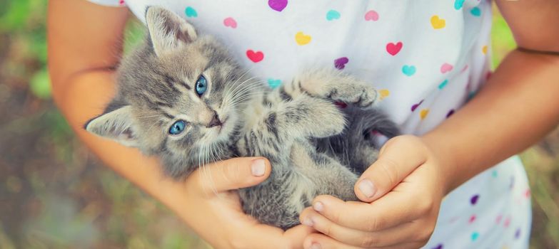 Little kittens in the hands of children. Selective focus. Animals.