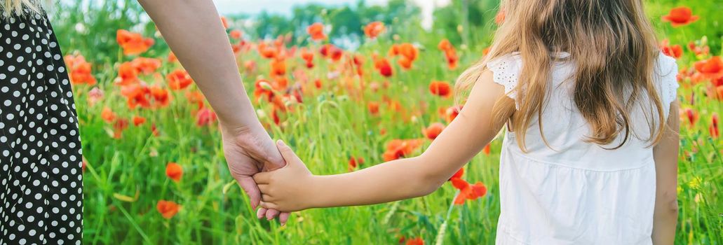 children girl in a field with poppies. selective focus.