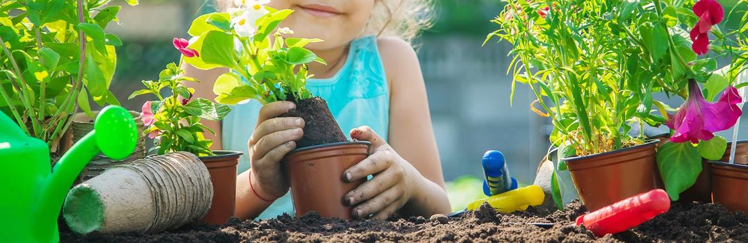 A little girl is planting flowers. The young gardener. Selective focus. nature.