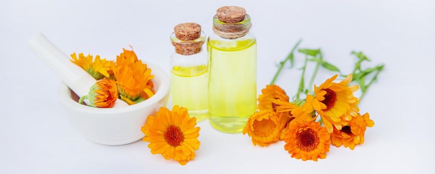 The calendula extract. Medicinal plants. Selective focus nature