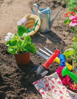 A little girl is planting flowers. The young gardener. Selective focus. nature.