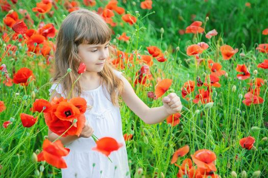 children girl in a field with poppies. selective focus.