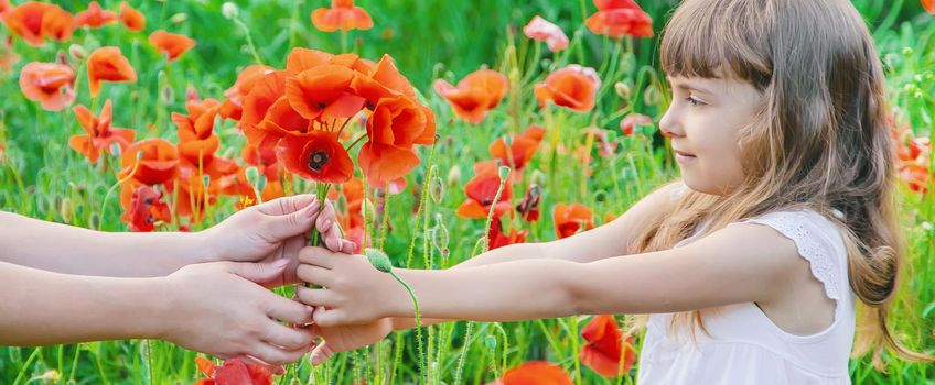 children girl in a field with poppies. selective focus.