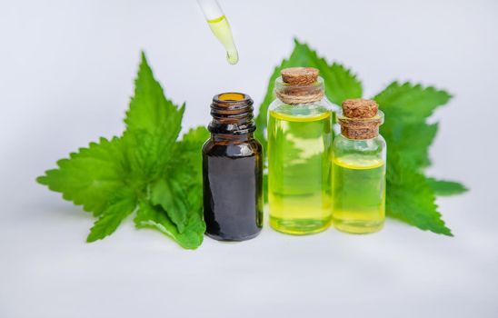the nettle extract in a small jar. Selective focus. nature.
