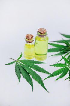 Cannabis herb and leaves for treatment broth, tincture, extract, oil. Selective focus. nature