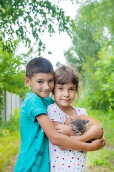 Little kittens in the hands of children. Selective focus.