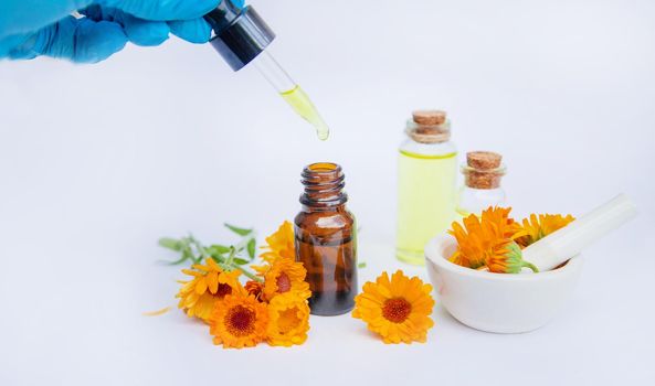 The calendula extract. Medicinal plants. Selective focus nature