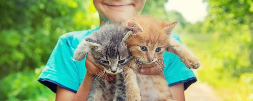 Little kittens in the hands of children. Selective focus. Animals.