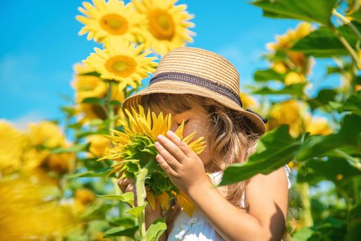 A child in a field of sunflowers. Selective focus.