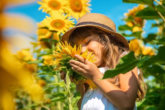 Child in a field of sunflowers. Selective focus. Nature.