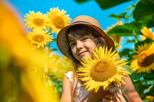 Child in a field of sunflowers. Selective focus. Nature.