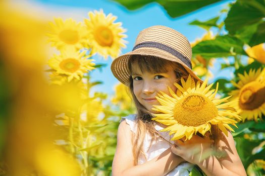 A child in a field of sunflowers. Selective focus.