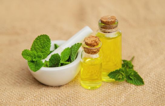 medicinal herbs. Selective focus. medicine and health nature