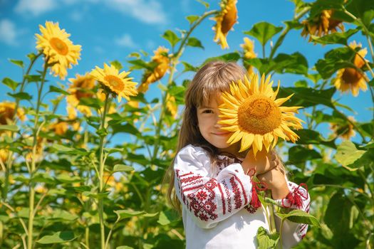 A child in a field of sunflowers in an embroidered shirt. Ukrainian. Selective focus.