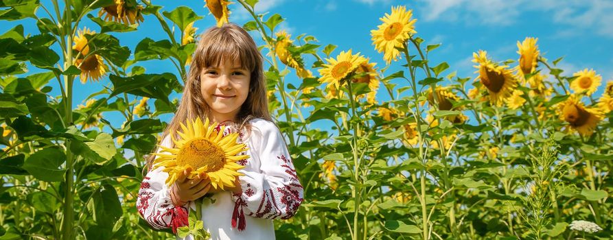 A child in a field of sunflowers in an embroidered shirt. Ukrainian. Selective focus.