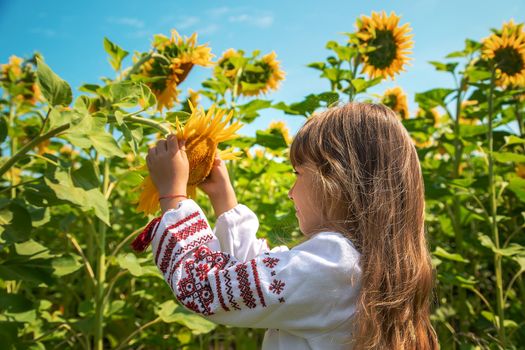 Child in a field of sunflowers. Selective focus. Nature.