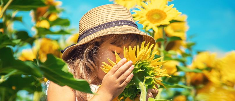 A child in a field of sunflowers. Selective focus.