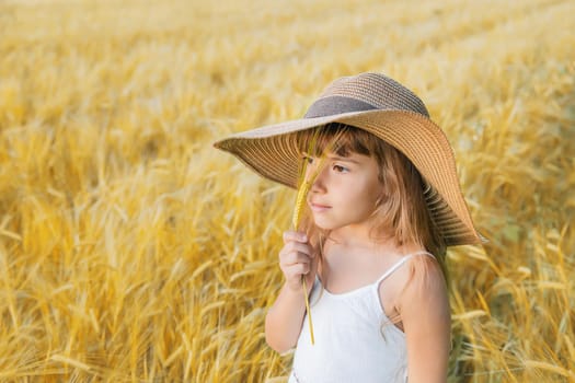 A child in a wheat field. Selective focus.