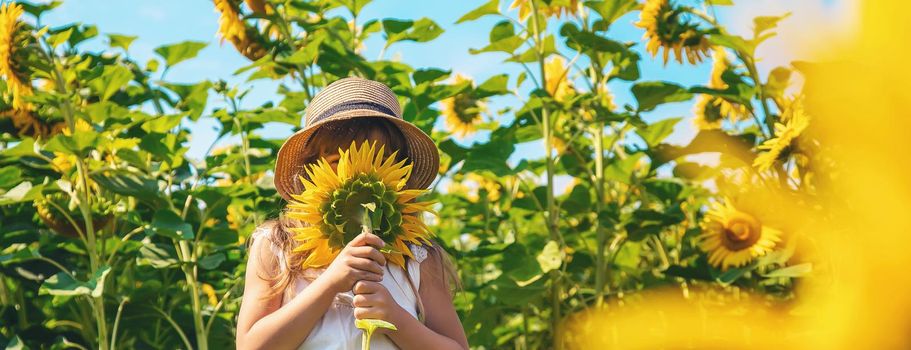 A child in a field of sunflowers. Selective focus.