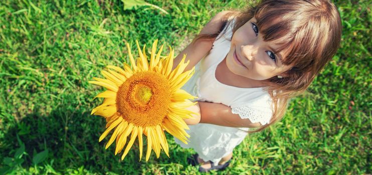 A child in a field of sunflowers. Selective focus.