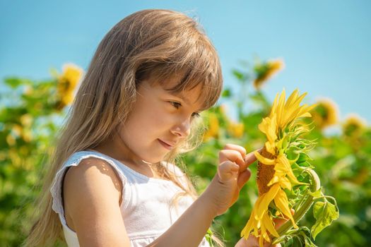 A child in a field of sunflowers. Selective focus.