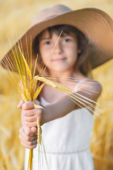 A child in a wheat field. Selective focus.