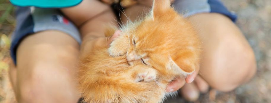 Little kittens in the hands of children. Selective focus. Animals.