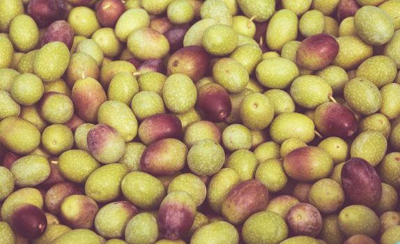 Many Ligurian olives used for the production of high quality olive oil