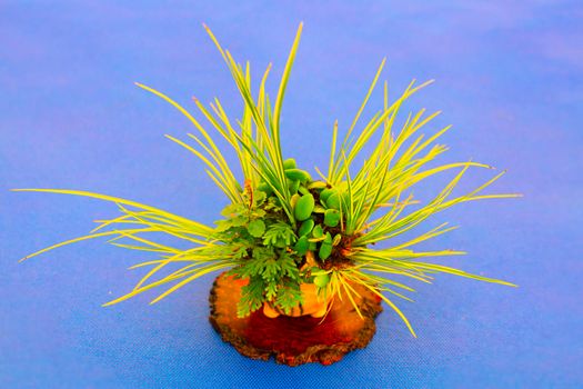 Small green plant with blue contrast background