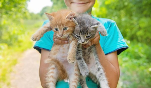 Little kittens in the hands of children. Selective focus. Animals.