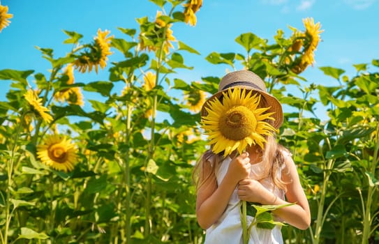 A child in a field of sunflowers. Selective focus.