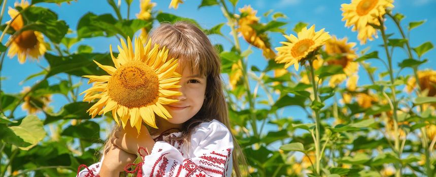 A child in a field of sunflowers in an embroidered shirt. Ukrainian. Selective focus.