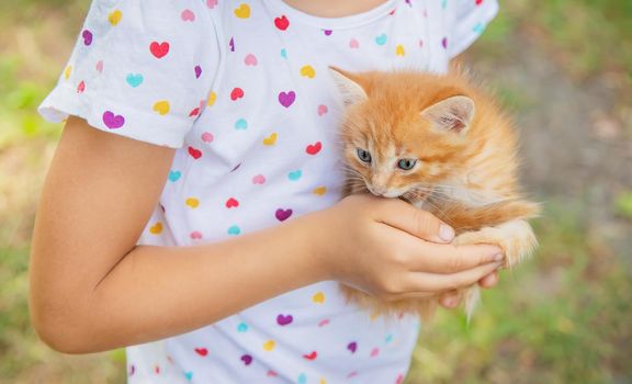 Little kittens in the hands of children. Selective focus. Animals.