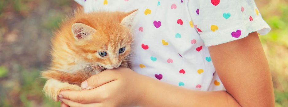 Little kittens in the hands of children. Selective focus. Animals.