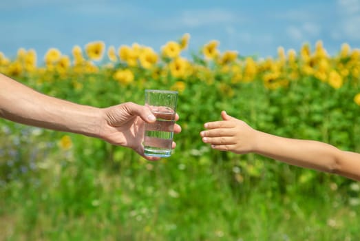 The father gives the child water in the background of the field. Selective focus. nature