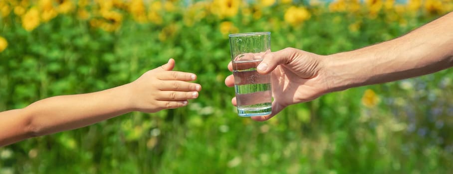 The father gives the child water in the background of the field. Selective focus. nature