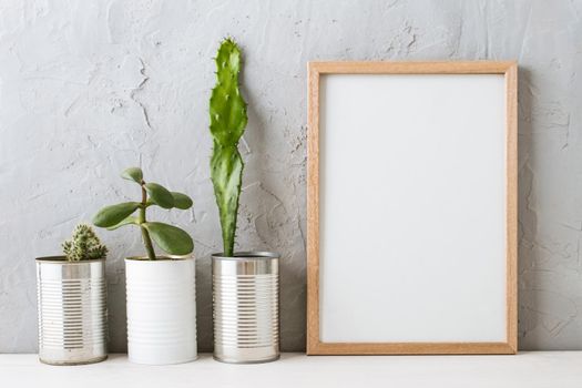 succulents in the Scandinavian interior near the concrete wall. mock up. High quality photo