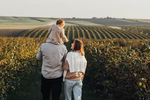 Back View of Happy Young Family Outdoors, Mother and Father with Their Baby Daughter at Sunset in Field