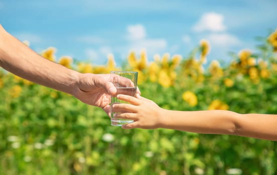 The father gives the child water in the background of the field. Selective focus. nature